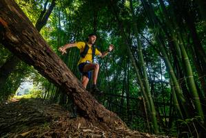 BIB: 
                            <button type="button" onclick="openModal(18986768)" class="btn btn-primary btn-sm float-right btn-popup" data-toggle="modal" data-target=".modal-high-quality">
                        <i class="fas fa-shopping-cart"></i> Add to Cart
                    </button>
                                            <button type="button" onclick="isThisMe(18986768, true)" class="btn btn-success btn-sm float-right btn-popup btn-isme hidden" data-toggle="tooltip" data-placement="bottom" title="นี่คือรูปของคุณใช่ไหม คลิกที่นี่เพื่อเอาเข้าอัลบั้ม">
                        <i class="fas fa-plus"></i> Add to album
                    </button>
                    <button type="button" onclick="isThisMe(18986768, false)" class="btn btn-warning btn-sm float-right btn-popup btn-isnotme hidden">
                        <i class="fas fa-ban"></i> Remove from album
                    </button>