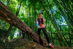 BIB: 
                            <button type="button" onclick="openModal(19063379)" class="btn btn-primary btn-sm float-right btn-popup" data-toggle="modal" data-target=".modal-high-quality">
                        <i class="fas fa-shopping-cart"></i> Add to Cart
                    </button>
                                            <button type="button" onclick="isThisMe(19063379, true)" class="btn btn-success btn-sm float-right btn-popup btn-isme hidden" data-toggle="tooltip" data-placement="bottom" title="นี่คือรูปของคุณใช่ไหม คลิกที่นี่เพื่อเอาเข้าอัลบั้ม">
                        <i class="fas fa-plus"></i> Add to album
                    </button>
                    <button type="button" onclick="isThisMe(19063379, false)" class="btn btn-warning btn-sm float-right btn-popup btn-isnotme hidden">
                        <i class="fas fa-ban"></i> Remove from album
                    </button>