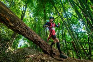 BIB: 
                            <button type="button" onclick="openModal(19070019)" class="btn btn-primary btn-sm float-right btn-popup" data-toggle="modal" data-target=".modal-high-quality">
                        <i class="fas fa-shopping-cart"></i> Add to Cart
                    </button>
                                            <button type="button" onclick="isThisMe(19070019, true)" class="btn btn-success btn-sm float-right btn-popup btn-isme hidden" data-toggle="tooltip" data-placement="bottom" title="นี่คือรูปของคุณใช่ไหม คลิกที่นี่เพื่อเอาเข้าอัลบั้ม">
                        <i class="fas fa-plus"></i> Add to album
                    </button>
                    <button type="button" onclick="isThisMe(19070019, false)" class="btn btn-warning btn-sm float-right btn-popup btn-isnotme hidden">
                        <i class="fas fa-ban"></i> Remove from album
                    </button>