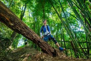 BIB: 
                            <button type="button" onclick="openModal(19070628)" class="btn btn-primary btn-sm float-right btn-popup" data-toggle="modal" data-target=".modal-high-quality">
                        <i class="fas fa-shopping-cart"></i> Add to Cart
                    </button>
                                            <button type="button" onclick="isThisMe(19070628, true)" class="btn btn-success btn-sm float-right btn-popup btn-isme hidden" data-toggle="tooltip" data-placement="bottom" title="นี่คือรูปของคุณใช่ไหม คลิกที่นี่เพื่อเอาเข้าอัลบั้ม">
                        <i class="fas fa-plus"></i> Add to album
                    </button>
                    <button type="button" onclick="isThisMe(19070628, false)" class="btn btn-warning btn-sm float-right btn-popup btn-isnotme hidden">
                        <i class="fas fa-ban"></i> Remove from album
                    </button>