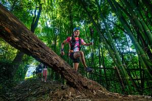 BIB: 
                            <button type="button" onclick="openModal(19000486)" class="btn btn-primary btn-sm float-right btn-popup" data-toggle="modal" data-target=".modal-high-quality">
                        <i class="fas fa-shopping-cart"></i> Add to Cart
                    </button>
                                            <button type="button" onclick="isThisMe(19000486, true)" class="btn btn-success btn-sm float-right btn-popup btn-isme hidden" data-toggle="tooltip" data-placement="bottom" title="นี่คือรูปของคุณใช่ไหม คลิกที่นี่เพื่อเอาเข้าอัลบั้ม">
                        <i class="fas fa-plus"></i> Add to album
                    </button>
                    <button type="button" onclick="isThisMe(19000486, false)" class="btn btn-warning btn-sm float-right btn-popup btn-isnotme hidden">
                        <i class="fas fa-ban"></i> Remove from album
                    </button>