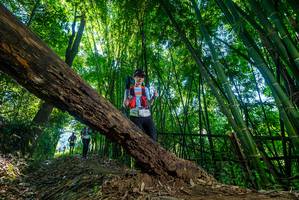 BIB: 
                            <button type="button" onclick="openModal(18999406)" class="btn btn-primary btn-sm float-right btn-popup" data-toggle="modal" data-target=".modal-high-quality">
                        <i class="fas fa-shopping-cart"></i> Add to Cart
                    </button>
                                            <button type="button" onclick="isThisMe(18999406, true)" class="btn btn-success btn-sm float-right btn-popup btn-isme hidden" data-toggle="tooltip" data-placement="bottom" title="นี่คือรูปของคุณใช่ไหม คลิกที่นี่เพื่อเอาเข้าอัลบั้ม">
                        <i class="fas fa-plus"></i> Add to album
                    </button>
                    <button type="button" onclick="isThisMe(18999406, false)" class="btn btn-warning btn-sm float-right btn-popup btn-isnotme hidden">
                        <i class="fas fa-ban"></i> Remove from album
                    </button>