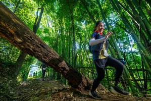 BIB: 
                            <button type="button" onclick="openModal(19058752)" class="btn btn-primary btn-sm float-right btn-popup" data-toggle="modal" data-target=".modal-high-quality">
                        <i class="fas fa-shopping-cart"></i> Add to Cart
                    </button>
                                            <button type="button" onclick="isThisMe(19058752, true)" class="btn btn-success btn-sm float-right btn-popup btn-isme hidden" data-toggle="tooltip" data-placement="bottom" title="นี่คือรูปของคุณใช่ไหม คลิกที่นี่เพื่อเอาเข้าอัลบั้ม">
                        <i class="fas fa-plus"></i> Add to album
                    </button>
                    <button type="button" onclick="isThisMe(19058752, false)" class="btn btn-warning btn-sm float-right btn-popup btn-isnotme hidden">
                        <i class="fas fa-ban"></i> Remove from album
                    </button>