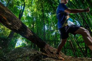 BIB: 
                            <button type="button" onclick="openModal(18992143)" class="btn btn-primary btn-sm float-right btn-popup" data-toggle="modal" data-target=".modal-high-quality">
                        <i class="fas fa-shopping-cart"></i> Add to Cart
                    </button>
                                            <button type="button" onclick="isThisMe(18992143, true)" class="btn btn-success btn-sm float-right btn-popup btn-isme hidden" data-toggle="tooltip" data-placement="bottom" title="นี่คือรูปของคุณใช่ไหม คลิกที่นี่เพื่อเอาเข้าอัลบั้ม">
                        <i class="fas fa-plus"></i> Add to album
                    </button>
                    <button type="button" onclick="isThisMe(18992143, false)" class="btn btn-warning btn-sm float-right btn-popup btn-isnotme hidden">
                        <i class="fas fa-ban"></i> Remove from album
                    </button>