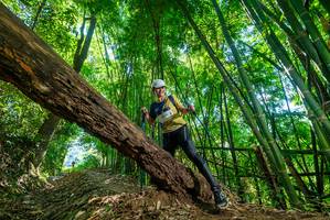 BIB: 
                            <button type="button" onclick="openModal(19069927)" class="btn btn-primary btn-sm float-right btn-popup" data-toggle="modal" data-target=".modal-high-quality">
                        <i class="fas fa-shopping-cart"></i> Add to Cart
                    </button>
                                            <button type="button" onclick="isThisMe(19069927, true)" class="btn btn-success btn-sm float-right btn-popup btn-isme hidden" data-toggle="tooltip" data-placement="bottom" title="นี่คือรูปของคุณใช่ไหม คลิกที่นี่เพื่อเอาเข้าอัลบั้ม">
                        <i class="fas fa-plus"></i> Add to album
                    </button>
                    <button type="button" onclick="isThisMe(19069927, false)" class="btn btn-warning btn-sm float-right btn-popup btn-isnotme hidden">
                        <i class="fas fa-ban"></i> Remove from album
                    </button>