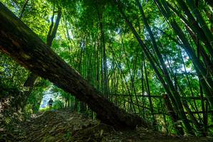 BIB: 
                            <button type="button" onclick="openModal(19065166)" class="btn btn-primary btn-sm float-right btn-popup" data-toggle="modal" data-target=".modal-high-quality">
                        <i class="fas fa-shopping-cart"></i> Add to Cart
                    </button>
                                            <button type="button" onclick="isThisMe(19065166, true)" class="btn btn-success btn-sm float-right btn-popup btn-isme hidden" data-toggle="tooltip" data-placement="bottom" title="นี่คือรูปของคุณใช่ไหม คลิกที่นี่เพื่อเอาเข้าอัลบั้ม">
                        <i class="fas fa-plus"></i> Add to album
                    </button>
                    <button type="button" onclick="isThisMe(19065166, false)" class="btn btn-warning btn-sm float-right btn-popup btn-isnotme hidden">
                        <i class="fas fa-ban"></i> Remove from album
                    </button>