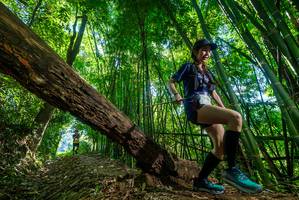 BIB: 
                            <button type="button" onclick="openModal(19069229)" class="btn btn-primary btn-sm float-right btn-popup" data-toggle="modal" data-target=".modal-high-quality">
                        <i class="fas fa-shopping-cart"></i> Add to Cart
                    </button>
                                            <button type="button" onclick="isThisMe(19069229, true)" class="btn btn-success btn-sm float-right btn-popup btn-isme hidden" data-toggle="tooltip" data-placement="bottom" title="นี่คือรูปของคุณใช่ไหม คลิกที่นี่เพื่อเอาเข้าอัลบั้ม">
                        <i class="fas fa-plus"></i> Add to album
                    </button>
                    <button type="button" onclick="isThisMe(19069229, false)" class="btn btn-warning btn-sm float-right btn-popup btn-isnotme hidden">
                        <i class="fas fa-ban"></i> Remove from album
                    </button>