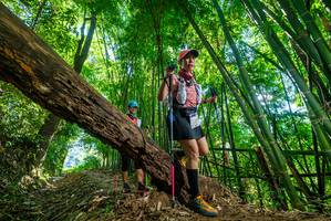 BIB: 
                            <button type="button" onclick="openModal(19070318)" class="btn btn-primary btn-sm float-right btn-popup" data-toggle="modal" data-target=".modal-high-quality">
                        <i class="fas fa-shopping-cart"></i> Add to Cart
                    </button>
                                            <button type="button" onclick="isThisMe(19070318, true)" class="btn btn-success btn-sm float-right btn-popup btn-isme hidden" data-toggle="tooltip" data-placement="bottom" title="นี่คือรูปของคุณใช่ไหม คลิกที่นี่เพื่อเอาเข้าอัลบั้ม">
                        <i class="fas fa-plus"></i> Add to album
                    </button>
                    <button type="button" onclick="isThisMe(19070318, false)" class="btn btn-warning btn-sm float-right btn-popup btn-isnotme hidden">
                        <i class="fas fa-ban"></i> Remove from album
                    </button>