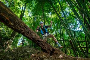 BIB: 800, 
                            <button type="button" onclick="openModal(19068357)" class="btn btn-primary btn-sm float-right btn-popup" data-toggle="modal" data-target=".modal-high-quality">
                        <i class="fas fa-shopping-cart"></i> Add to Cart
                    </button>
                                            <button type="button" onclick="isThisMe(19068357, true)" class="btn btn-success btn-sm float-right btn-popup btn-isme hidden" data-toggle="tooltip" data-placement="bottom" title="นี่คือรูปของคุณใช่ไหม คลิกที่นี่เพื่อเอาเข้าอัลบั้ม">
                        <i class="fas fa-plus"></i> Add to album
                    </button>
                    <button type="button" onclick="isThisMe(19068357, false)" class="btn btn-warning btn-sm float-right btn-popup btn-isnotme hidden">
                        <i class="fas fa-ban"></i> Remove from album
                    </button>