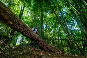 BIB: 
                            <button type="button" onclick="openModal(19064955)" class="btn btn-primary btn-sm float-right btn-popup" data-toggle="modal" data-target=".modal-high-quality">
                        <i class="fas fa-shopping-cart"></i> Add to Cart
                    </button>
                                            <button type="button" onclick="isThisMe(19064955, true)" class="btn btn-success btn-sm float-right btn-popup btn-isme hidden" data-toggle="tooltip" data-placement="bottom" title="นี่คือรูปของคุณใช่ไหม คลิกที่นี่เพื่อเอาเข้าอัลบั้ม">
                        <i class="fas fa-plus"></i> Add to album
                    </button>
                    <button type="button" onclick="isThisMe(19064955, false)" class="btn btn-warning btn-sm float-right btn-popup btn-isnotme hidden">
                        <i class="fas fa-ban"></i> Remove from album
                    </button>