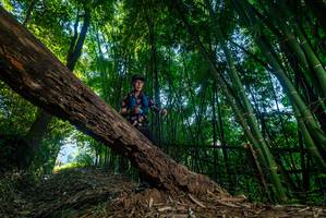 BIB: 
                            <button type="button" onclick="openModal(18992066)" class="btn btn-primary btn-sm float-right btn-popup" data-toggle="modal" data-target=".modal-high-quality">
                        <i class="fas fa-shopping-cart"></i> Add to Cart
                    </button>
                                            <button type="button" onclick="isThisMe(18992066, true)" class="btn btn-success btn-sm float-right btn-popup btn-isme hidden" data-toggle="tooltip" data-placement="bottom" title="นี่คือรูปของคุณใช่ไหม คลิกที่นี่เพื่อเอาเข้าอัลบั้ม">
                        <i class="fas fa-plus"></i> Add to album
                    </button>
                    <button type="button" onclick="isThisMe(18992066, false)" class="btn btn-warning btn-sm float-right btn-popup btn-isnotme hidden">
                        <i class="fas fa-ban"></i> Remove from album
                    </button>