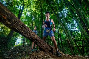 BIB: 
                            <button type="button" onclick="openModal(19000589)" class="btn btn-primary btn-sm float-right btn-popup" data-toggle="modal" data-target=".modal-high-quality">
                        <i class="fas fa-shopping-cart"></i> Add to Cart
                    </button>
                                            <button type="button" onclick="isThisMe(19000589, true)" class="btn btn-success btn-sm float-right btn-popup btn-isme hidden" data-toggle="tooltip" data-placement="bottom" title="นี่คือรูปของคุณใช่ไหม คลิกที่นี่เพื่อเอาเข้าอัลบั้ม">
                        <i class="fas fa-plus"></i> Add to album
                    </button>
                    <button type="button" onclick="isThisMe(19000589, false)" class="btn btn-warning btn-sm float-right btn-popup btn-isnotme hidden">
                        <i class="fas fa-ban"></i> Remove from album
                    </button>