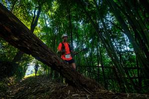 BIB: 
                            <button type="button" onclick="openModal(18989629)" class="btn btn-primary btn-sm float-right btn-popup" data-toggle="modal" data-target=".modal-high-quality">
                        <i class="fas fa-shopping-cart"></i> Add to Cart
                    </button>
                                            <button type="button" onclick="isThisMe(18989629, true)" class="btn btn-success btn-sm float-right btn-popup btn-isme hidden" data-toggle="tooltip" data-placement="bottom" title="นี่คือรูปของคุณใช่ไหม คลิกที่นี่เพื่อเอาเข้าอัลบั้ม">
                        <i class="fas fa-plus"></i> Add to album
                    </button>
                    <button type="button" onclick="isThisMe(18989629, false)" class="btn btn-warning btn-sm float-right btn-popup btn-isnotme hidden">
                        <i class="fas fa-ban"></i> Remove from album
                    </button>