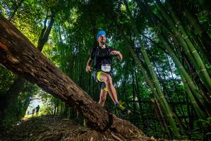 BIB: 2017
                            <button type="button" onclick="openModal(18987340)" class="btn btn-primary btn-sm float-right btn-popup" data-toggle="modal" data-target=".modal-high-quality">
                        <i class="fas fa-shopping-cart"></i> Add to Cart
                    </button>
                                            <button type="button" onclick="isThisMe(18987340, true)" class="btn btn-success btn-sm float-right btn-popup btn-isme hidden" data-toggle="tooltip" data-placement="bottom" title="นี่คือรูปของคุณใช่ไหม คลิกที่นี่เพื่อเอาเข้าอัลบั้ม">
                        <i class="fas fa-plus"></i> Add to album
                    </button>
                    <button type="button" onclick="isThisMe(18987340, false)" class="btn btn-warning btn-sm float-right btn-popup btn-isnotme hidden">
                        <i class="fas fa-ban"></i> Remove from album
                    </button>