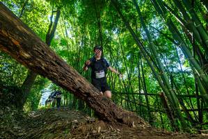 BIB: 201
                            <button type="button" onclick="openModal(19059514)" class="btn btn-primary btn-sm float-right btn-popup" data-toggle="modal" data-target=".modal-high-quality">
                        <i class="fas fa-shopping-cart"></i> Add to Cart
                    </button>
                                            <button type="button" onclick="isThisMe(19059514, true)" class="btn btn-success btn-sm float-right btn-popup btn-isme hidden" data-toggle="tooltip" data-placement="bottom" title="นี่คือรูปของคุณใช่ไหม คลิกที่นี่เพื่อเอาเข้าอัลบั้ม">
                        <i class="fas fa-plus"></i> Add to album
                    </button>
                    <button type="button" onclick="isThisMe(19059514, false)" class="btn btn-warning btn-sm float-right btn-popup btn-isnotme hidden">
                        <i class="fas fa-ban"></i> Remove from album
                    </button>