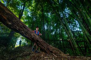 BIB: 
                            <button type="button" onclick="openModal(18991386)" class="btn btn-primary btn-sm float-right btn-popup" data-toggle="modal" data-target=".modal-high-quality">
                        <i class="fas fa-shopping-cart"></i> Add to Cart
                    </button>
                                            <button type="button" onclick="isThisMe(18991386, true)" class="btn btn-success btn-sm float-right btn-popup btn-isme hidden" data-toggle="tooltip" data-placement="bottom" title="นี่คือรูปของคุณใช่ไหม คลิกที่นี่เพื่อเอาเข้าอัลบั้ม">
                        <i class="fas fa-plus"></i> Add to album
                    </button>
                    <button type="button" onclick="isThisMe(18991386, false)" class="btn btn-warning btn-sm float-right btn-popup btn-isnotme hidden">
                        <i class="fas fa-ban"></i> Remove from album
                    </button>