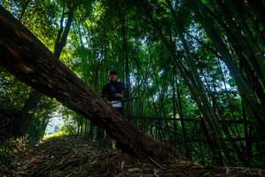 BIB: 
                            <button type="button" onclick="openModal(18989678)" class="btn btn-primary btn-sm float-right btn-popup" data-toggle="modal" data-target=".modal-high-quality">
                        <i class="fas fa-shopping-cart"></i> Add to Cart
                    </button>
                                            <button type="button" onclick="isThisMe(18989678, true)" class="btn btn-success btn-sm float-right btn-popup btn-isme hidden" data-toggle="tooltip" data-placement="bottom" title="นี่คือรูปของคุณใช่ไหม คลิกที่นี่เพื่อเอาเข้าอัลบั้ม">
                        <i class="fas fa-plus"></i> Add to album
                    </button>
                    <button type="button" onclick="isThisMe(18989678, false)" class="btn btn-warning btn-sm float-right btn-popup btn-isnotme hidden">
                        <i class="fas fa-ban"></i> Remove from album
                    </button>