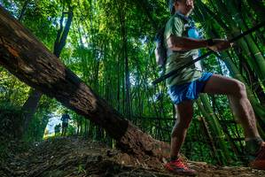 BIB: 
                            <button type="button" onclick="openModal(18999025)" class="btn btn-primary btn-sm float-right btn-popup" data-toggle="modal" data-target=".modal-high-quality">
                        <i class="fas fa-shopping-cart"></i> Add to Cart
                    </button>
                                            <button type="button" onclick="isThisMe(18999025, true)" class="btn btn-success btn-sm float-right btn-popup btn-isme hidden" data-toggle="tooltip" data-placement="bottom" title="นี่คือรูปของคุณใช่ไหม คลิกที่นี่เพื่อเอาเข้าอัลบั้ม">
                        <i class="fas fa-plus"></i> Add to album
                    </button>
                    <button type="button" onclick="isThisMe(18999025, false)" class="btn btn-warning btn-sm float-right btn-popup btn-isnotme hidden">
                        <i class="fas fa-ban"></i> Remove from album
                    </button>