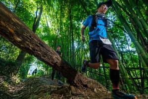 BIB: 
                            <button type="button" onclick="openModal(19054548)" class="btn btn-primary btn-sm float-right btn-popup" data-toggle="modal" data-target=".modal-high-quality">
                        <i class="fas fa-shopping-cart"></i> Add to Cart
                    </button>
                                            <button type="button" onclick="isThisMe(19054548, true)" class="btn btn-success btn-sm float-right btn-popup btn-isme hidden" data-toggle="tooltip" data-placement="bottom" title="นี่คือรูปของคุณใช่ไหม คลิกที่นี่เพื่อเอาเข้าอัลบั้ม">
                        <i class="fas fa-plus"></i> Add to album
                    </button>
                    <button type="button" onclick="isThisMe(19054548, false)" class="btn btn-warning btn-sm float-right btn-popup btn-isnotme hidden">
                        <i class="fas fa-ban"></i> Remove from album
                    </button>