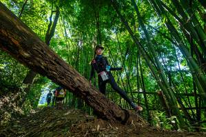 BIB: 
                            <button type="button" onclick="openModal(19065865)" class="btn btn-primary btn-sm float-right btn-popup" data-toggle="modal" data-target=".modal-high-quality">
                        <i class="fas fa-shopping-cart"></i> Add to Cart
                    </button>
                                            <button type="button" onclick="isThisMe(19065865, true)" class="btn btn-success btn-sm float-right btn-popup btn-isme hidden" data-toggle="tooltip" data-placement="bottom" title="นี่คือรูปของคุณใช่ไหม คลิกที่นี่เพื่อเอาเข้าอัลบั้ม">
                        <i class="fas fa-plus"></i> Add to album
                    </button>
                    <button type="button" onclick="isThisMe(19065865, false)" class="btn btn-warning btn-sm float-right btn-popup btn-isnotme hidden">
                        <i class="fas fa-ban"></i> Remove from album
                    </button>