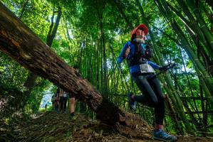 BIB: 950217
                            <button type="button" onclick="openModal(19064738)" class="btn btn-primary btn-sm float-right btn-popup" data-toggle="modal" data-target=".modal-high-quality">
                        <i class="fas fa-shopping-cart"></i> Add to Cart
                    </button>
                                            <button type="button" onclick="isThisMe(19064738, true)" class="btn btn-success btn-sm float-right btn-popup btn-isme hidden" data-toggle="tooltip" data-placement="bottom" title="นี่คือรูปของคุณใช่ไหม คลิกที่นี่เพื่อเอาเข้าอัลบั้ม">
                        <i class="fas fa-plus"></i> Add to album
                    </button>
                    <button type="button" onclick="isThisMe(19064738, false)" class="btn btn-warning btn-sm float-right btn-popup btn-isnotme hidden">
                        <i class="fas fa-ban"></i> Remove from album
                    </button>