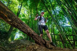 BIB: 
                            <button type="button" onclick="openModal(19059360)" class="btn btn-primary btn-sm float-right btn-popup" data-toggle="modal" data-target=".modal-high-quality">
                        <i class="fas fa-shopping-cart"></i> Add to Cart
                    </button>
                                            <button type="button" onclick="isThisMe(19059360, true)" class="btn btn-success btn-sm float-right btn-popup btn-isme hidden" data-toggle="tooltip" data-placement="bottom" title="นี่คือรูปของคุณใช่ไหม คลิกที่นี่เพื่อเอาเข้าอัลบั้ม">
                        <i class="fas fa-plus"></i> Add to album
                    </button>
                    <button type="button" onclick="isThisMe(19059360, false)" class="btn btn-warning btn-sm float-right btn-popup btn-isnotme hidden">
                        <i class="fas fa-ban"></i> Remove from album
                    </button>