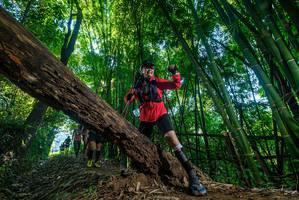 BIB: 
                            <button type="button" onclick="openModal(18993427)" class="btn btn-primary btn-sm float-right btn-popup" data-toggle="modal" data-target=".modal-high-quality">
                        <i class="fas fa-shopping-cart"></i> Add to Cart
                    </button>
                                            <button type="button" onclick="isThisMe(18993427, true)" class="btn btn-success btn-sm float-right btn-popup btn-isme hidden" data-toggle="tooltip" data-placement="bottom" title="นี่คือรูปของคุณใช่ไหม คลิกที่นี่เพื่อเอาเข้าอัลบั้ม">
                        <i class="fas fa-plus"></i> Add to album
                    </button>
                    <button type="button" onclick="isThisMe(18993427, false)" class="btn btn-warning btn-sm float-right btn-popup btn-isnotme hidden">
                        <i class="fas fa-ban"></i> Remove from album
                    </button>