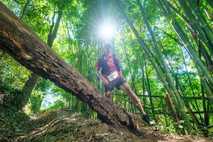 BIB: 
                            <button type="button" onclick="openModal(19071705)" class="btn btn-primary btn-sm float-right btn-popup" data-toggle="modal" data-target=".modal-high-quality">
                        <i class="fas fa-shopping-cart"></i> Add to Cart
                    </button>
                                            <button type="button" onclick="isThisMe(19071705, true)" class="btn btn-success btn-sm float-right btn-popup btn-isme hidden" data-toggle="tooltip" data-placement="bottom" title="นี่คือรูปของคุณใช่ไหม คลิกที่นี่เพื่อเอาเข้าอัลบั้ม">
                        <i class="fas fa-plus"></i> Add to album
                    </button>
                    <button type="button" onclick="isThisMe(19071705, false)" class="btn btn-warning btn-sm float-right btn-popup btn-isnotme hidden">
                        <i class="fas fa-ban"></i> Remove from album
                    </button>