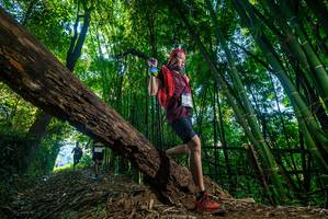 BIB: 
                            <button type="button" onclick="openModal(18996521)" class="btn btn-primary btn-sm float-right btn-popup" data-toggle="modal" data-target=".modal-high-quality">
                        <i class="fas fa-shopping-cart"></i> Add to Cart
                    </button>
                                            <button type="button" onclick="isThisMe(18996521, true)" class="btn btn-success btn-sm float-right btn-popup btn-isme hidden" data-toggle="tooltip" data-placement="bottom" title="นี่คือรูปของคุณใช่ไหม คลิกที่นี่เพื่อเอาเข้าอัลบั้ม">
                        <i class="fas fa-plus"></i> Add to album
                    </button>
                    <button type="button" onclick="isThisMe(18996521, false)" class="btn btn-warning btn-sm float-right btn-popup btn-isnotme hidden">
                        <i class="fas fa-ban"></i> Remove from album
                    </button>