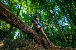 BIB: 2242, 143, 3349
                            <button type="button" onclick="openModal(18997604)" class="btn btn-primary btn-sm float-right btn-popup" data-toggle="modal" data-target=".modal-high-quality">
                        <i class="fas fa-shopping-cart"></i> Add to Cart
                    </button>
                                            <button type="button" onclick="isThisMe(18997604, true)" class="btn btn-success btn-sm float-right btn-popup btn-isme hidden" data-toggle="tooltip" data-placement="bottom" title="นี่คือรูปของคุณใช่ไหม คลิกที่นี่เพื่อเอาเข้าอัลบั้ม">
                        <i class="fas fa-plus"></i> Add to album
                    </button>
                    <button type="button" onclick="isThisMe(18997604, false)" class="btn btn-warning btn-sm float-right btn-popup btn-isnotme hidden">
                        <i class="fas fa-ban"></i> Remove from album
                    </button>