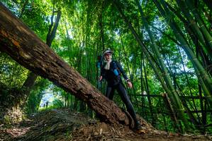 BIB: 
                            <button type="button" onclick="openModal(19002543)" class="btn btn-primary btn-sm float-right btn-popup" data-toggle="modal" data-target=".modal-high-quality">
                        <i class="fas fa-shopping-cart"></i> Add to Cart
                    </button>
                                            <button type="button" onclick="isThisMe(19002543, true)" class="btn btn-success btn-sm float-right btn-popup btn-isme hidden" data-toggle="tooltip" data-placement="bottom" title="นี่คือรูปของคุณใช่ไหม คลิกที่นี่เพื่อเอาเข้าอัลบั้ม">
                        <i class="fas fa-plus"></i> Add to album
                    </button>
                    <button type="button" onclick="isThisMe(19002543, false)" class="btn btn-warning btn-sm float-right btn-popup btn-isnotme hidden">
                        <i class="fas fa-ban"></i> Remove from album
                    </button>