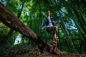 BIB: 
                            <button type="button" onclick="openModal(18989960)" class="btn btn-primary btn-sm float-right btn-popup" data-toggle="modal" data-target=".modal-high-quality">
                        <i class="fas fa-shopping-cart"></i> Add to Cart
                    </button>
                                            <button type="button" onclick="isThisMe(18989960, true)" class="btn btn-success btn-sm float-right btn-popup btn-isme hidden" data-toggle="tooltip" data-placement="bottom" title="นี่คือรูปของคุณใช่ไหม คลิกที่นี่เพื่อเอาเข้าอัลบั้ม">
                        <i class="fas fa-plus"></i> Add to album
                    </button>
                    <button type="button" onclick="isThisMe(18989960, false)" class="btn btn-warning btn-sm float-right btn-popup btn-isnotme hidden">
                        <i class="fas fa-ban"></i> Remove from album
                    </button>