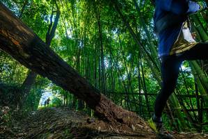 BIB: 
                            <button type="button" onclick="openModal(18996177)" class="btn btn-primary btn-sm float-right btn-popup" data-toggle="modal" data-target=".modal-high-quality">
                        <i class="fas fa-shopping-cart"></i> Add to Cart
                    </button>
                                            <button type="button" onclick="isThisMe(18996177, true)" class="btn btn-success btn-sm float-right btn-popup btn-isme hidden" data-toggle="tooltip" data-placement="bottom" title="นี่คือรูปของคุณใช่ไหม คลิกที่นี่เพื่อเอาเข้าอัลบั้ม">
                        <i class="fas fa-plus"></i> Add to album
                    </button>
                    <button type="button" onclick="isThisMe(18996177, false)" class="btn btn-warning btn-sm float-right btn-popup btn-isnotme hidden">
                        <i class="fas fa-ban"></i> Remove from album
                    </button>