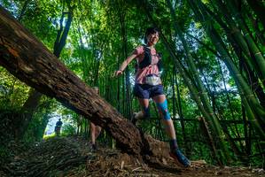 BIB: 
                            <button type="button" onclick="openModal(18996918)" class="btn btn-primary btn-sm float-right btn-popup" data-toggle="modal" data-target=".modal-high-quality">
                        <i class="fas fa-shopping-cart"></i> Add to Cart
                    </button>
                                            <button type="button" onclick="isThisMe(18996918, true)" class="btn btn-success btn-sm float-right btn-popup btn-isme hidden" data-toggle="tooltip" data-placement="bottom" title="นี่คือรูปของคุณใช่ไหม คลิกที่นี่เพื่อเอาเข้าอัลบั้ม">
                        <i class="fas fa-plus"></i> Add to album
                    </button>
                    <button type="button" onclick="isThisMe(18996918, false)" class="btn btn-warning btn-sm float-right btn-popup btn-isnotme hidden">
                        <i class="fas fa-ban"></i> Remove from album
                    </button>