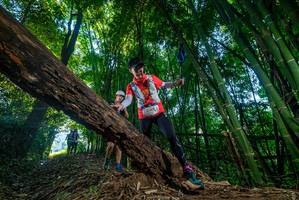 BIB: 
                            <button type="button" onclick="openModal(18996497)" class="btn btn-primary btn-sm float-right btn-popup" data-toggle="modal" data-target=".modal-high-quality">
                        <i class="fas fa-shopping-cart"></i> Add to Cart
                    </button>
                                            <button type="button" onclick="isThisMe(18996497, true)" class="btn btn-success btn-sm float-right btn-popup btn-isme hidden" data-toggle="tooltip" data-placement="bottom" title="นี่คือรูปของคุณใช่ไหม คลิกที่นี่เพื่อเอาเข้าอัลบั้ม">
                        <i class="fas fa-plus"></i> Add to album
                    </button>
                    <button type="button" onclick="isThisMe(18996497, false)" class="btn btn-warning btn-sm float-right btn-popup btn-isnotme hidden">
                        <i class="fas fa-ban"></i> Remove from album
                    </button>