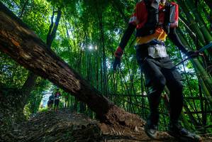 BIB: 
                            <button type="button" onclick="openModal(19056533)" class="btn btn-primary btn-sm float-right btn-popup" data-toggle="modal" data-target=".modal-high-quality">
                        <i class="fas fa-shopping-cart"></i> Add to Cart
                    </button>
                                            <button type="button" onclick="isThisMe(19056533, true)" class="btn btn-success btn-sm float-right btn-popup btn-isme hidden" data-toggle="tooltip" data-placement="bottom" title="นี่คือรูปของคุณใช่ไหม คลิกที่นี่เพื่อเอาเข้าอัลบั้ม">
                        <i class="fas fa-plus"></i> Add to album
                    </button>
                    <button type="button" onclick="isThisMe(19056533, false)" class="btn btn-warning btn-sm float-right btn-popup btn-isnotme hidden">
                        <i class="fas fa-ban"></i> Remove from album
                    </button>