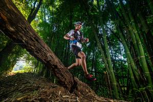 BIB: 
                            <button type="button" onclick="openModal(18986645)" class="btn btn-primary btn-sm float-right btn-popup" data-toggle="modal" data-target=".modal-high-quality">
                        <i class="fas fa-shopping-cart"></i> Add to Cart
                    </button>
                                            <button type="button" onclick="isThisMe(18986645, true)" class="btn btn-success btn-sm float-right btn-popup btn-isme hidden" data-toggle="tooltip" data-placement="bottom" title="นี่คือรูปของคุณใช่ไหม คลิกที่นี่เพื่อเอาเข้าอัลบั้ม">
                        <i class="fas fa-plus"></i> Add to album
                    </button>
                    <button type="button" onclick="isThisMe(18986645, false)" class="btn btn-warning btn-sm float-right btn-popup btn-isnotme hidden">
                        <i class="fas fa-ban"></i> Remove from album
                    </button>