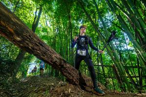 BIB: 
                            <button type="button" onclick="openModal(19061312)" class="btn btn-primary btn-sm float-right btn-popup" data-toggle="modal" data-target=".modal-high-quality">
                        <i class="fas fa-shopping-cart"></i> Add to Cart
                    </button>
                                            <button type="button" onclick="isThisMe(19061312, true)" class="btn btn-success btn-sm float-right btn-popup btn-isme hidden" data-toggle="tooltip" data-placement="bottom" title="นี่คือรูปของคุณใช่ไหม คลิกที่นี่เพื่อเอาเข้าอัลบั้ม">
                        <i class="fas fa-plus"></i> Add to album
                    </button>
                    <button type="button" onclick="isThisMe(19061312, false)" class="btn btn-warning btn-sm float-right btn-popup btn-isnotme hidden">
                        <i class="fas fa-ban"></i> Remove from album
                    </button>