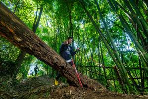 BIB: 
                            <button type="button" onclick="openModal(19060925)" class="btn btn-primary btn-sm float-right btn-popup" data-toggle="modal" data-target=".modal-high-quality">
                        <i class="fas fa-shopping-cart"></i> Add to Cart
                    </button>
                                            <button type="button" onclick="isThisMe(19060925, true)" class="btn btn-success btn-sm float-right btn-popup btn-isme hidden" data-toggle="tooltip" data-placement="bottom" title="นี่คือรูปของคุณใช่ไหม คลิกที่นี่เพื่อเอาเข้าอัลบั้ม">
                        <i class="fas fa-plus"></i> Add to album
                    </button>
                    <button type="button" onclick="isThisMe(19060925, false)" class="btn btn-warning btn-sm float-right btn-popup btn-isnotme hidden">
                        <i class="fas fa-ban"></i> Remove from album
                    </button>