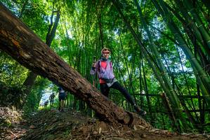 BIB: 
                            <button type="button" onclick="openModal(19001247)" class="btn btn-primary btn-sm float-right btn-popup" data-toggle="modal" data-target=".modal-high-quality">
                        <i class="fas fa-shopping-cart"></i> Add to Cart
                    </button>
                                            <button type="button" onclick="isThisMe(19001247, true)" class="btn btn-success btn-sm float-right btn-popup btn-isme hidden" data-toggle="tooltip" data-placement="bottom" title="นี่คือรูปของคุณใช่ไหม คลิกที่นี่เพื่อเอาเข้าอัลบั้ม">
                        <i class="fas fa-plus"></i> Add to album
                    </button>
                    <button type="button" onclick="isThisMe(19001247, false)" class="btn btn-warning btn-sm float-right btn-popup btn-isnotme hidden">
                        <i class="fas fa-ban"></i> Remove from album
                    </button>