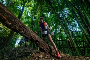 BIB: 
                            <button type="button" onclick="openModal(18990281)" class="btn btn-primary btn-sm float-right btn-popup" data-toggle="modal" data-target=".modal-high-quality">
                        <i class="fas fa-shopping-cart"></i> Add to Cart
                    </button>
                                            <button type="button" onclick="isThisMe(18990281, true)" class="btn btn-success btn-sm float-right btn-popup btn-isme hidden" data-toggle="tooltip" data-placement="bottom" title="นี่คือรูปของคุณใช่ไหม คลิกที่นี่เพื่อเอาเข้าอัลบั้ม">
                        <i class="fas fa-plus"></i> Add to album
                    </button>
                    <button type="button" onclick="isThisMe(18990281, false)" class="btn btn-warning btn-sm float-right btn-popup btn-isnotme hidden">
                        <i class="fas fa-ban"></i> Remove from album
                    </button>