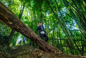 BIB: 
                            <button type="button" onclick="openModal(19061211)" class="btn btn-primary btn-sm float-right btn-popup" data-toggle="modal" data-target=".modal-high-quality">
                        <i class="fas fa-shopping-cart"></i> Add to Cart
                    </button>
                                            <button type="button" onclick="isThisMe(19061211, true)" class="btn btn-success btn-sm float-right btn-popup btn-isme hidden" data-toggle="tooltip" data-placement="bottom" title="นี่คือรูปของคุณใช่ไหม คลิกที่นี่เพื่อเอาเข้าอัลบั้ม">
                        <i class="fas fa-plus"></i> Add to album
                    </button>
                    <button type="button" onclick="isThisMe(19061211, false)" class="btn btn-warning btn-sm float-right btn-popup btn-isnotme hidden">
                        <i class="fas fa-ban"></i> Remove from album
                    </button>