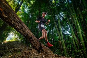 BIB: 
                            <button type="button" onclick="openModal(18987010)" class="btn btn-primary btn-sm float-right btn-popup" data-toggle="modal" data-target=".modal-high-quality">
                        <i class="fas fa-shopping-cart"></i> Add to Cart
                    </button>
                                            <button type="button" onclick="isThisMe(18987010, true)" class="btn btn-success btn-sm float-right btn-popup btn-isme hidden" data-toggle="tooltip" data-placement="bottom" title="นี่คือรูปของคุณใช่ไหม คลิกที่นี่เพื่อเอาเข้าอัลบั้ม">
                        <i class="fas fa-plus"></i> Add to album
                    </button>
                    <button type="button" onclick="isThisMe(18987010, false)" class="btn btn-warning btn-sm float-right btn-popup btn-isnotme hidden">
                        <i class="fas fa-ban"></i> Remove from album
                    </button>