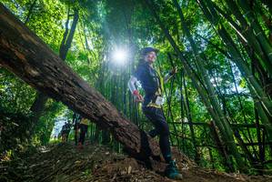 BIB: 
                            <button type="button" onclick="openModal(19063985)" class="btn btn-primary btn-sm float-right btn-popup" data-toggle="modal" data-target=".modal-high-quality">
                        <i class="fas fa-shopping-cart"></i> Add to Cart
                    </button>
                                            <button type="button" onclick="isThisMe(19063985, true)" class="btn btn-success btn-sm float-right btn-popup btn-isme hidden" data-toggle="tooltip" data-placement="bottom" title="นี่คือรูปของคุณใช่ไหม คลิกที่นี่เพื่อเอาเข้าอัลบั้ม">
                        <i class="fas fa-plus"></i> Add to album
                    </button>
                    <button type="button" onclick="isThisMe(19063985, false)" class="btn btn-warning btn-sm float-right btn-popup btn-isnotme hidden">
                        <i class="fas fa-ban"></i> Remove from album
                    </button>