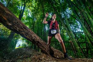 BIB: 
                            <button type="button" onclick="openModal(18991598)" class="btn btn-primary btn-sm float-right btn-popup" data-toggle="modal" data-target=".modal-high-quality">
                        <i class="fas fa-shopping-cart"></i> Add to Cart
                    </button>
                                            <button type="button" onclick="isThisMe(18991598, true)" class="btn btn-success btn-sm float-right btn-popup btn-isme hidden" data-toggle="tooltip" data-placement="bottom" title="นี่คือรูปของคุณใช่ไหม คลิกที่นี่เพื่อเอาเข้าอัลบั้ม">
                        <i class="fas fa-plus"></i> Add to album
                    </button>
                    <button type="button" onclick="isThisMe(18991598, false)" class="btn btn-warning btn-sm float-right btn-popup btn-isnotme hidden">
                        <i class="fas fa-ban"></i> Remove from album
                    </button>