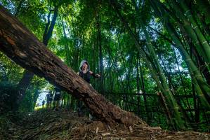 BIB: 
                            <button type="button" onclick="openModal(18997825)" class="btn btn-primary btn-sm float-right btn-popup" data-toggle="modal" data-target=".modal-high-quality">
                        <i class="fas fa-shopping-cart"></i> Add to Cart
                    </button>
                                            <button type="button" onclick="isThisMe(18997825, true)" class="btn btn-success btn-sm float-right btn-popup btn-isme hidden" data-toggle="tooltip" data-placement="bottom" title="นี่คือรูปของคุณใช่ไหม คลิกที่นี่เพื่อเอาเข้าอัลบั้ม">
                        <i class="fas fa-plus"></i> Add to album
                    </button>
                    <button type="button" onclick="isThisMe(18997825, false)" class="btn btn-warning btn-sm float-right btn-popup btn-isnotme hidden">
                        <i class="fas fa-ban"></i> Remove from album
                    </button>