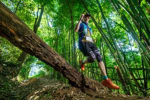 BIB: 
                            <button type="button" onclick="openModal(19071271)" class="btn btn-primary btn-sm float-right btn-popup" data-toggle="modal" data-target=".modal-high-quality">
                        <i class="fas fa-shopping-cart"></i> Add to Cart
                    </button>
                                            <button type="button" onclick="isThisMe(19071271, true)" class="btn btn-success btn-sm float-right btn-popup btn-isme hidden" data-toggle="tooltip" data-placement="bottom" title="นี่คือรูปของคุณใช่ไหม คลิกที่นี่เพื่อเอาเข้าอัลบั้ม">
                        <i class="fas fa-plus"></i> Add to album
                    </button>
                    <button type="button" onclick="isThisMe(19071271, false)" class="btn btn-warning btn-sm float-right btn-popup btn-isnotme hidden">
                        <i class="fas fa-ban"></i> Remove from album
                    </button>