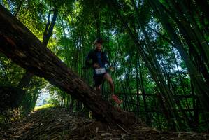 BIB: 
                            <button type="button" onclick="openModal(18989697)" class="btn btn-primary btn-sm float-right btn-popup" data-toggle="modal" data-target=".modal-high-quality">
                        <i class="fas fa-shopping-cart"></i> Add to Cart
                    </button>
                                            <button type="button" onclick="isThisMe(18989697, true)" class="btn btn-success btn-sm float-right btn-popup btn-isme hidden" data-toggle="tooltip" data-placement="bottom" title="นี่คือรูปของคุณใช่ไหม คลิกที่นี่เพื่อเอาเข้าอัลบั้ม">
                        <i class="fas fa-plus"></i> Add to album
                    </button>
                    <button type="button" onclick="isThisMe(18989697, false)" class="btn btn-warning btn-sm float-right btn-popup btn-isnotme hidden">
                        <i class="fas fa-ban"></i> Remove from album
                    </button>