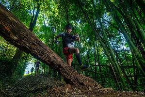 BIB: 
                            <button type="button" onclick="openModal(18997004)" class="btn btn-primary btn-sm float-right btn-popup" data-toggle="modal" data-target=".modal-high-quality">
                        <i class="fas fa-shopping-cart"></i> Add to Cart
                    </button>
                                            <button type="button" onclick="isThisMe(18997004, true)" class="btn btn-success btn-sm float-right btn-popup btn-isme hidden" data-toggle="tooltip" data-placement="bottom" title="นี่คือรูปของคุณใช่ไหม คลิกที่นี่เพื่อเอาเข้าอัลบั้ม">
                        <i class="fas fa-plus"></i> Add to album
                    </button>
                    <button type="button" onclick="isThisMe(18997004, false)" class="btn btn-warning btn-sm float-right btn-popup btn-isnotme hidden">
                        <i class="fas fa-ban"></i> Remove from album
                    </button>