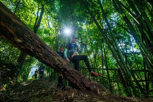 BIB: 
                            <button type="button" onclick="openModal(19063999)" class="btn btn-primary btn-sm float-right btn-popup" data-toggle="modal" data-target=".modal-high-quality">
                        <i class="fas fa-shopping-cart"></i> Add to Cart
                    </button>
                                            <button type="button" onclick="isThisMe(19063999, true)" class="btn btn-success btn-sm float-right btn-popup btn-isme hidden" data-toggle="tooltip" data-placement="bottom" title="นี่คือรูปของคุณใช่ไหม คลิกที่นี่เพื่อเอาเข้าอัลบั้ม">
                        <i class="fas fa-plus"></i> Add to album
                    </button>
                    <button type="button" onclick="isThisMe(19063999, false)" class="btn btn-warning btn-sm float-right btn-popup btn-isnotme hidden">
                        <i class="fas fa-ban"></i> Remove from album
                    </button>